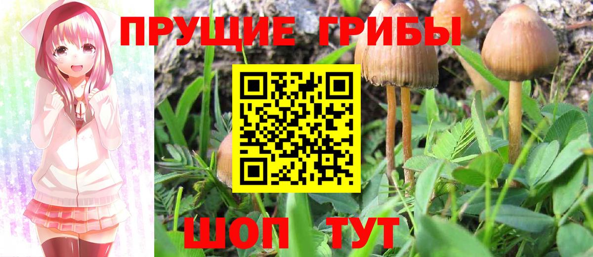 Феодосия  Галлюциногенные грибы Cubensis  Вход с VPN 